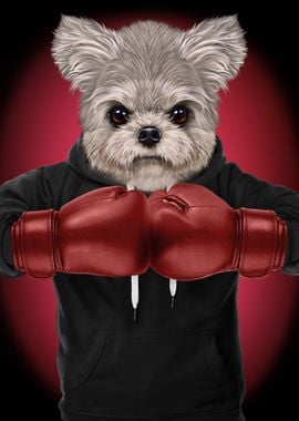 Boxer Maltese Dog