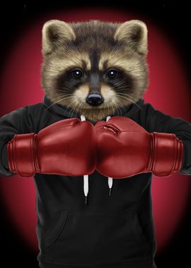 Boxer Raccoon