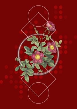 Red Geometric Alpine Rose