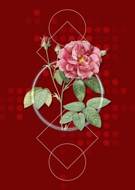 Red Geometric French Rose