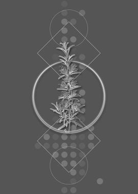 Gray Modern Rosemary Herb