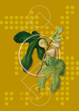 Geometric Fig Fruit Poster