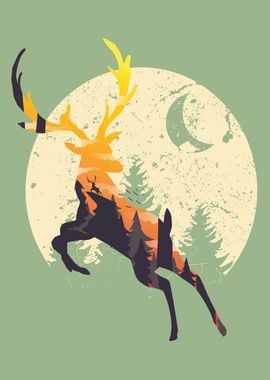 Deer And Forest