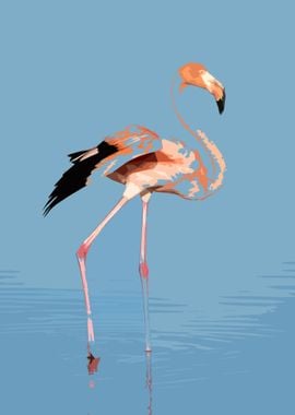 Flamingos