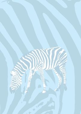 Blue zebra