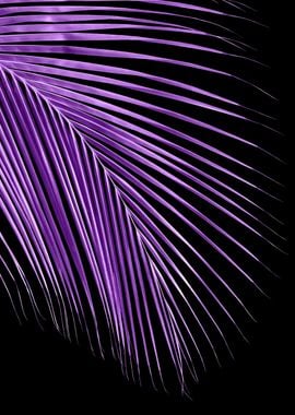 Minimal Purple Palm 1