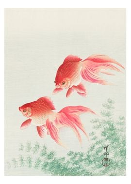 Vintage Japanese Koi Fish