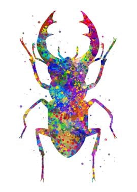 Beetle watercolor