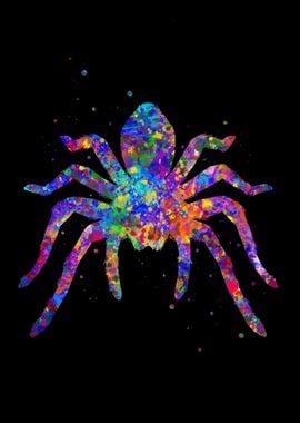 Spider tarantula pop art