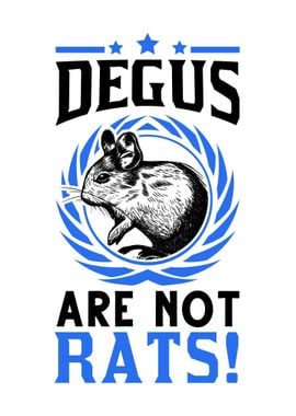 Degus Are Not Rats Chilean