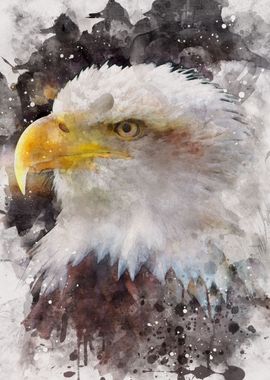 Watercolor Eagle