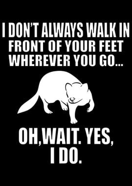 Funny Ferrets Lover Joke