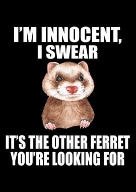 Funny Ferrets Lover Key