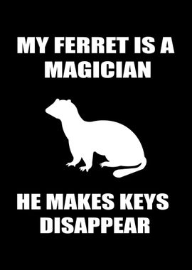 Funny Ferrets Lover Key