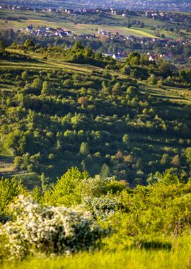 Landscape, travel, Poland