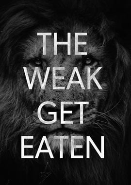 The Weak Get Eaten Lion