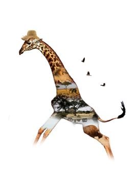 Giraffe Running