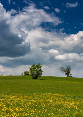 Meadow and blue sky,Poland