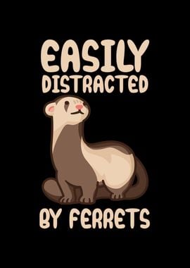 Easily distracted ferrets