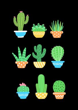 Cactus Succulent Plants