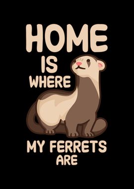 Home is where my ferrets