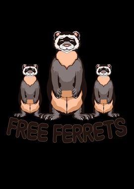 Free ferrets