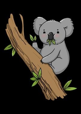 Koala Bear Koalas