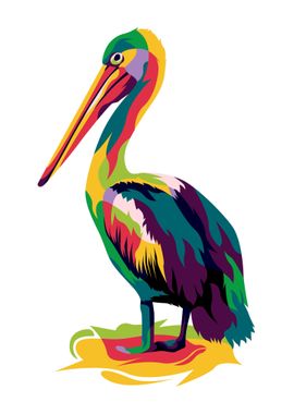 Pelican Bird 