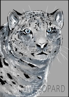 Snow Leopard