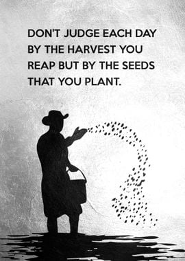 Sow the Seeds Stevenson