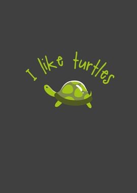 I like Turtles Tortoise