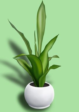 Office Plant