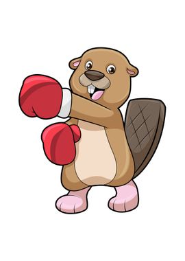 Beaver Boxer Boxing