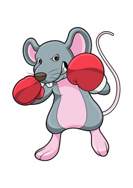 Rat Boxer Boxing