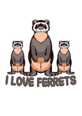 I love ferrets