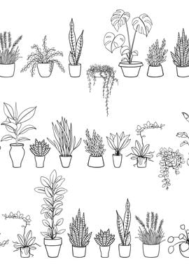 Potted Plant Pattern 10