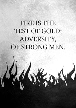 Fire of Adversity