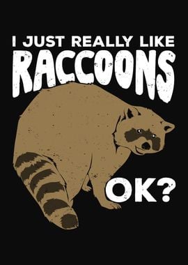 Raccoon Animal Design