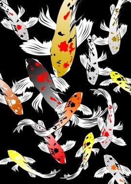 Koi Fishes japanese Fish