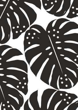 Polka Dots Monstera 1