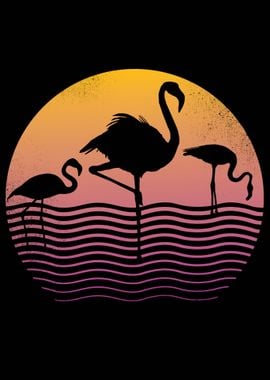 Flamingo Sunset 