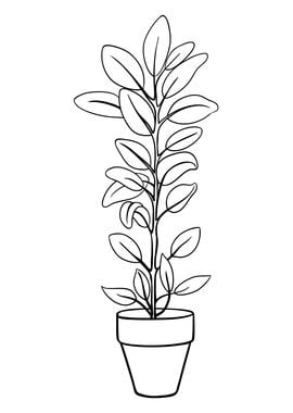 Potted Plant 23