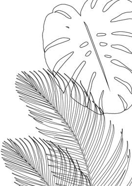 Monstera Palm Line Art 2