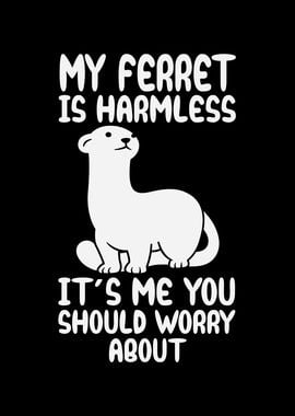 My ferret is harmless