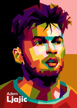 Adem Ljajic in popart