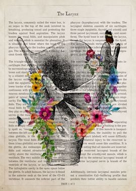 Larynx Flower Anatomy 