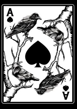 Ace of Spades Crow Raven