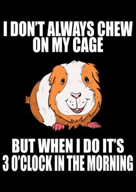 Guinea Pig Mom Dad Funny