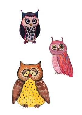 Three Cute owls