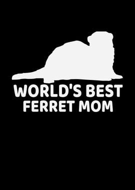 Worlds best ferret mom